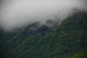 West Virginia Spring Mountains Fog