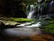 Elakala Summer Waterfalls Blackwater Lodge