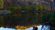 Autumn Trees Lake Reflections