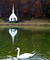 Autumn Church Reflections Swan Lake