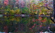 Autumun Tree Leaves Reflecting Lake