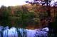 Fall Winecellar Lake Trees