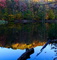 Fall Colors Log Lake Reflections