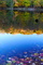 Fall Foliage Colors Lake Reflections