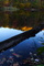 Fall Reflections Log Lake