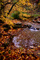 Autumn Kellys Creek Waterfall