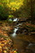 Autumn Creek Waterfalls Fall Foliage Leaves