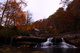Autumn Gristmill Foliage Below Waterfalls