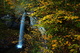 Autumn Leaves Rock Cliff Beautiful Waterfalls Wv