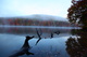 Autumn Mountain Lake Tree Reflections