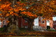 Country Brick Church Autumn Maple Tree
