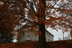 Country Church Autumn Maple Tree