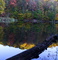Log Lake Autumn Reflection