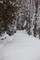 Babcock Winter Snow Trail