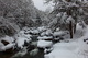 Glade Creek West Virginia Winter Snow
