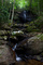 Spring Waterfall Glade Creek Wv