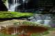 <p>Proverbs 27-19<br />
As in water face answereth to face, so the heart of man to man.</p>
<p>The Proverbs of Solomon Bible Scriptures embellished on High Resolution Nature Photography.</p>
