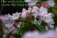 Psalm 119-103
How sweet are thy words unto my taste! yea, sweeter than honey to my mouth!
Christian Scripture Verse Poster Nature Pictures