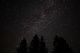 Forest Night Sky Spruce Trees Stars