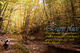 Joshua 1:3
Every place that the sole of your foot shall tread upon, that have I given unto you, as I said unto Moses. Inspiring christian Scripture Poster Art.