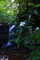 Waterfalls Hills Creek Rhododendrons