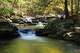 Meditation Beautiful Autumn Forest Waterfall