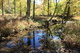 Sunny Fall Day Creek Reflections