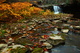 Rocks Foliage Autumn Forest Waterfalls