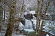Snowy Winter wv Ravine Waterfall