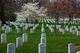 Spring Arlington Cemetery