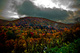 Autumn Trees Cloudy Sky