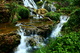 Waterfalls Forest Landscape