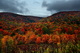 Autumn Mountain Foliage