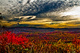 WV Fall Foliage Mountain Sunrise