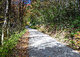 Winding Autumn Country Road