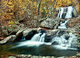 Autumn Trees Surround Waterfalls