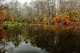autumn Trees Foggy Autumn Lake