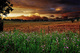 Wv Heavenly Sunset Farm Scene