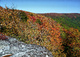 Autumn Color Changing wv Mountains 