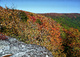 Autumn Color Changing wv Mountains