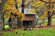 Autumn Country Cabin