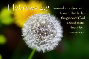 Hebrews2_9-crowned-with-glory-honour