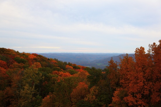 Highland Mountain View Fall Foliage
