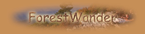 Free Nature Pictures by ForestWander Nature Photography