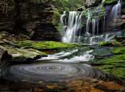 _center_thumbnail_10153.jpg : Alluring Cascades Pirouette